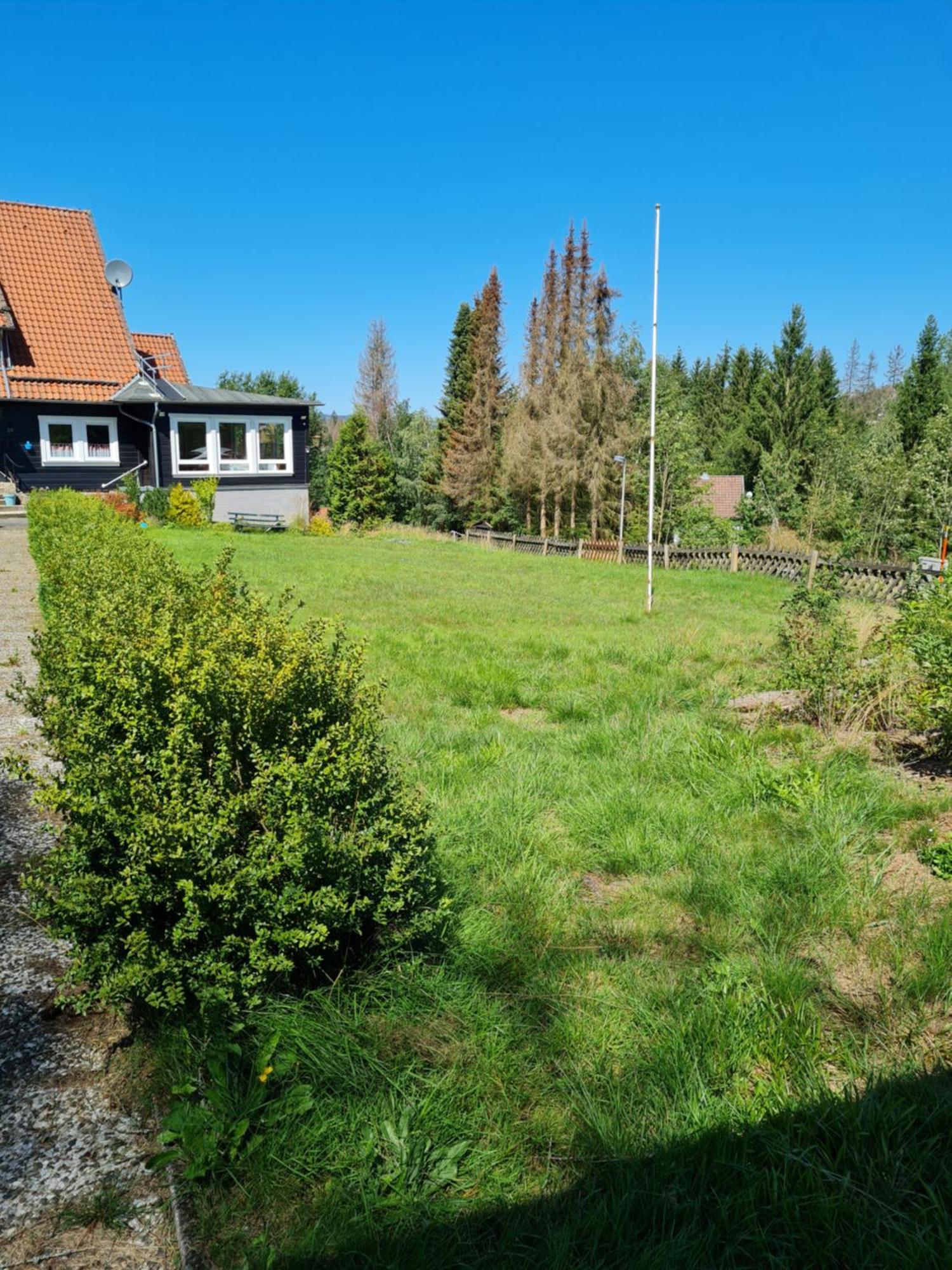 Welt Lodge Altenau  Dış mekan fotoğraf