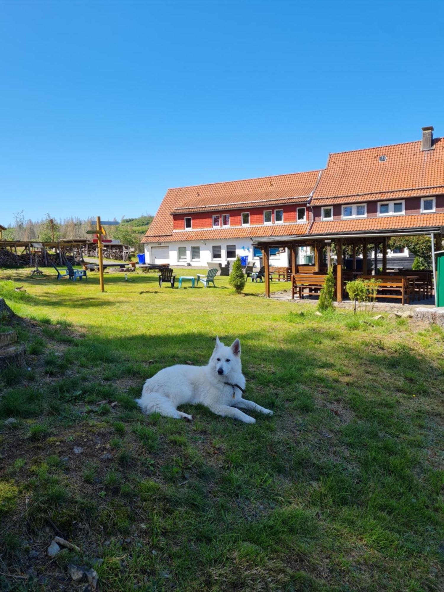 Welt Lodge Altenau  Dış mekan fotoğraf