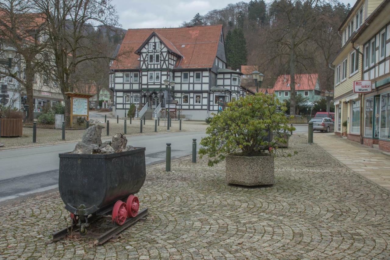 Welt Lodge Altenau  Dış mekan fotoğraf