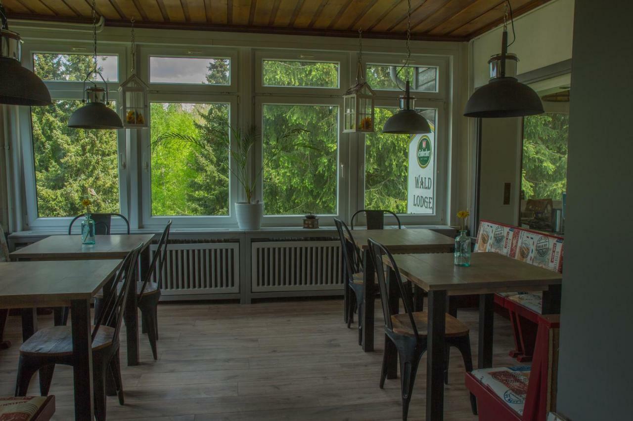 Welt Lodge Altenau  Dış mekan fotoğraf