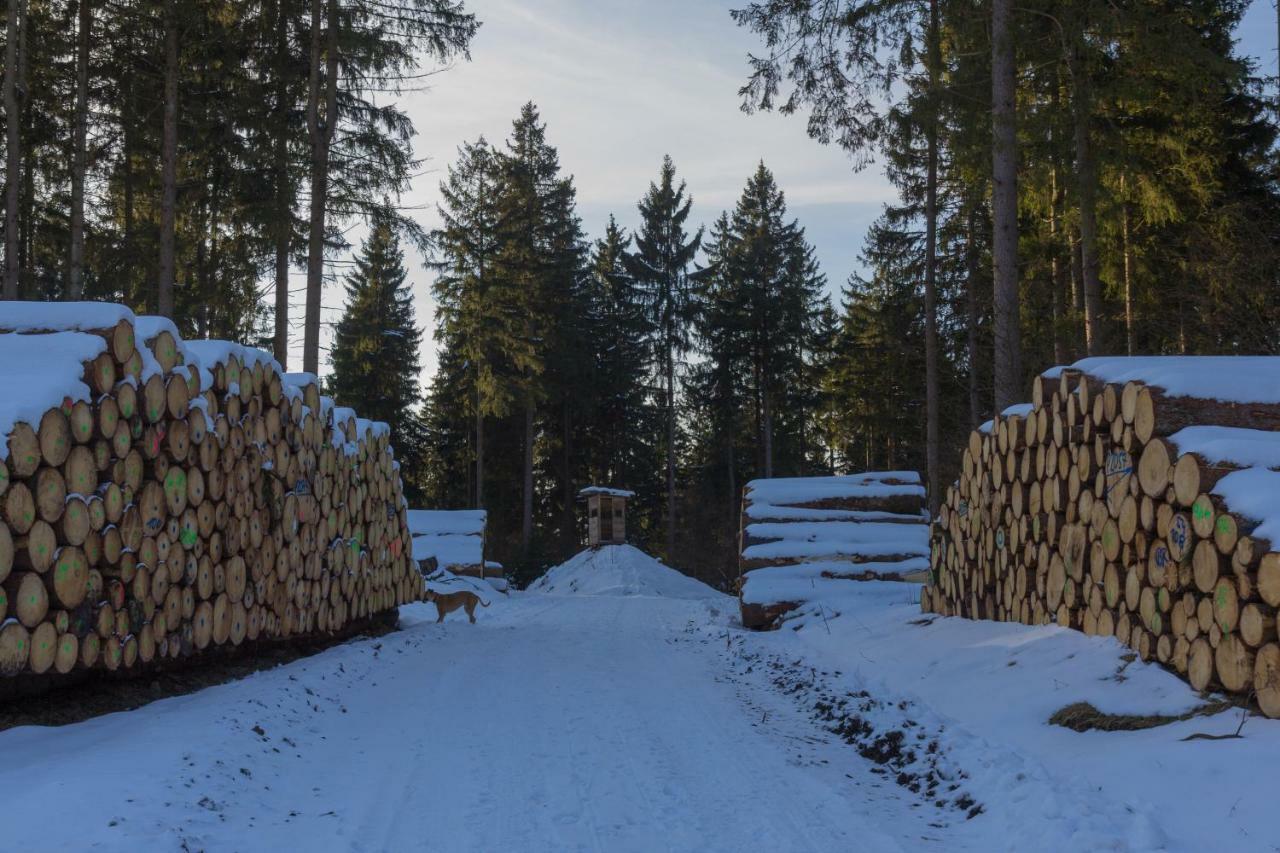 Welt Lodge Altenau  Dış mekan fotoğraf